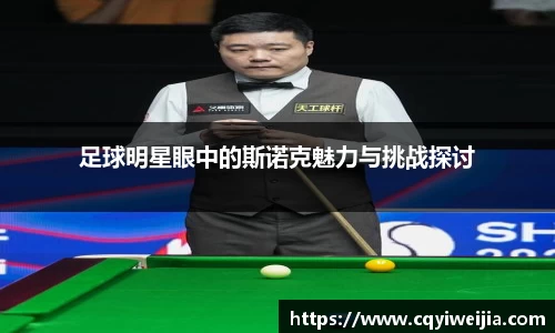 足球明星眼中的斯诺克魅力与挑战探讨